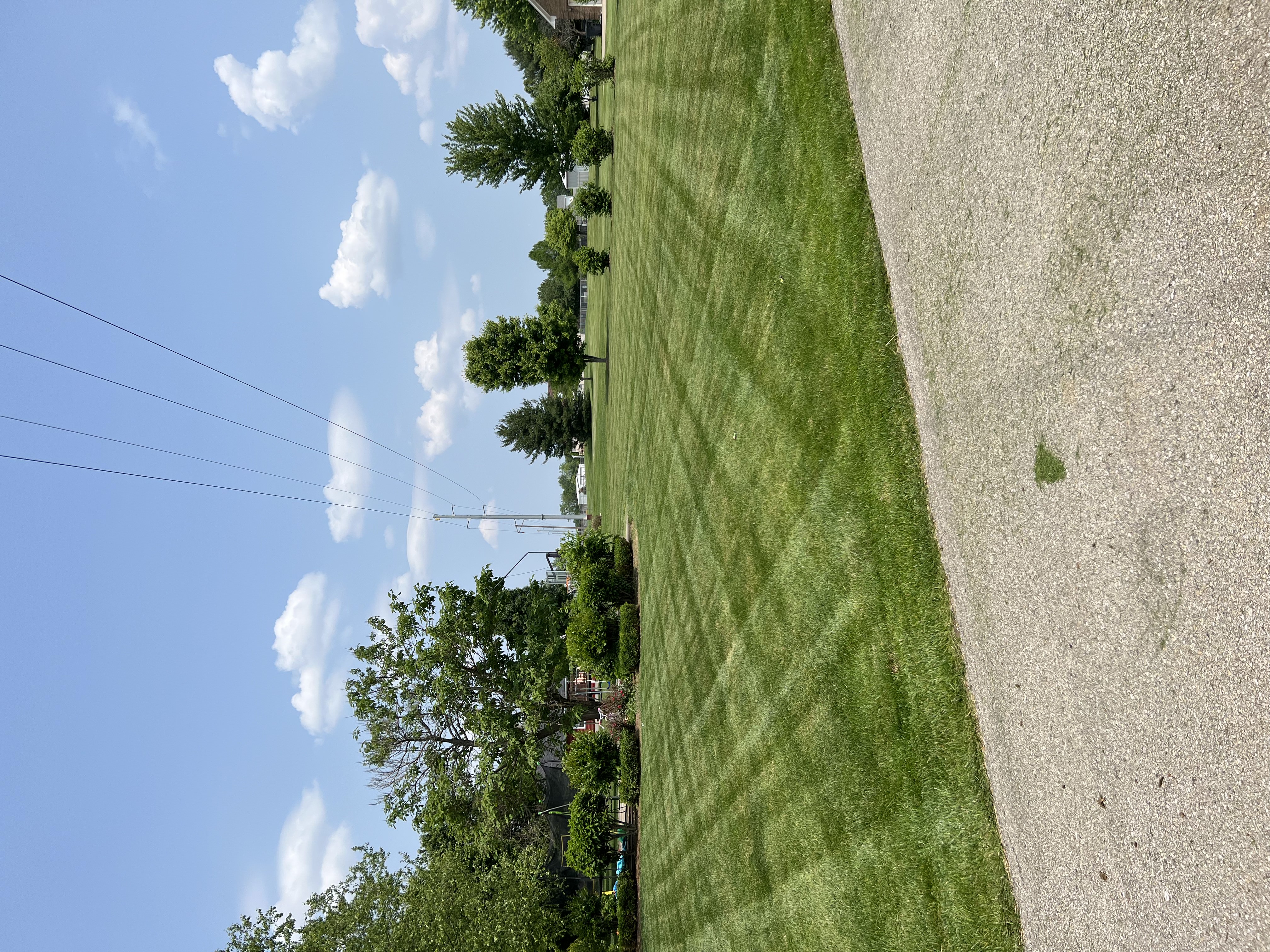 Freshly cut grass in a large yard, with trees in the background