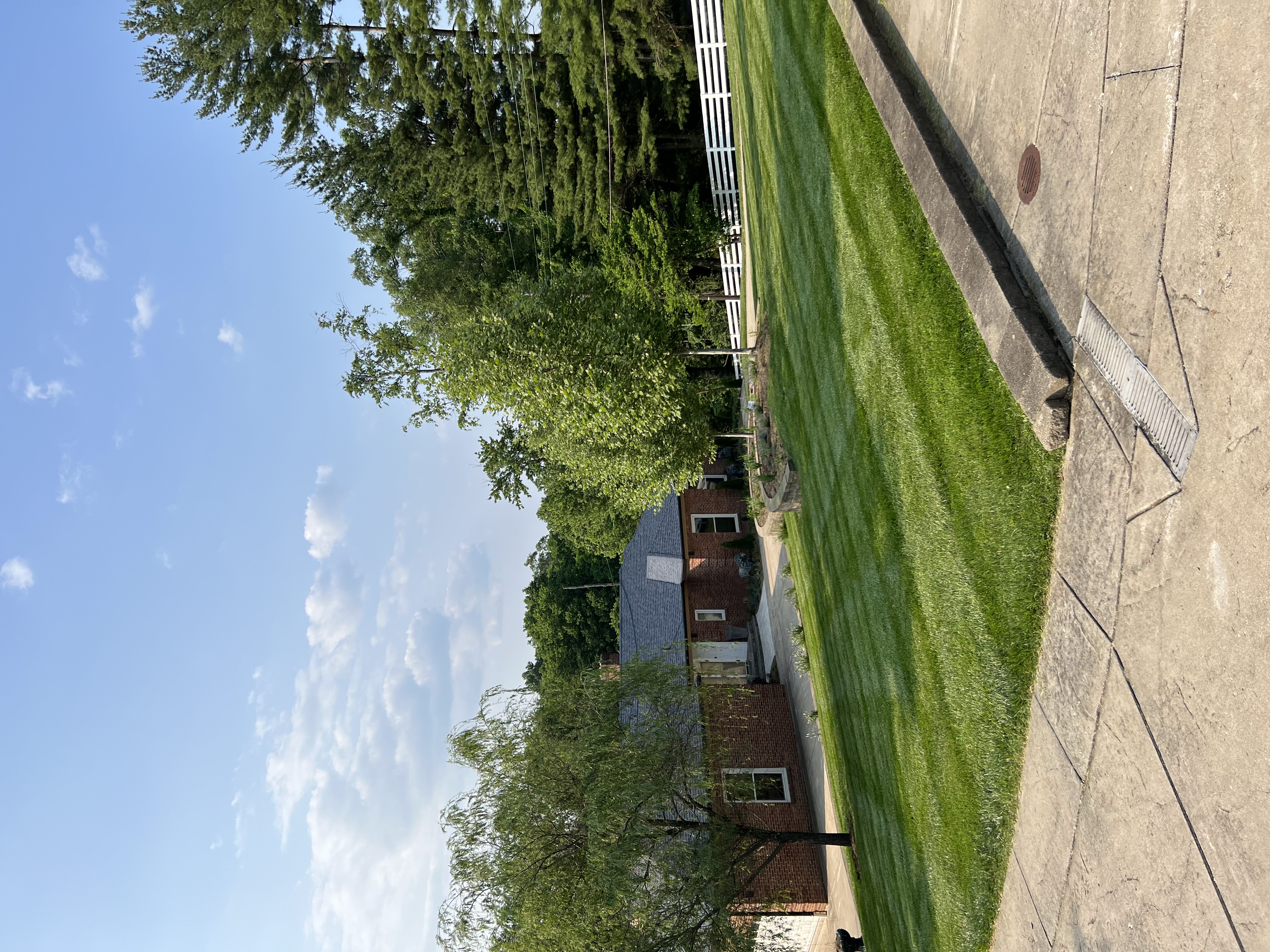 Small side yard, freshly cut, taken from a sidewalk