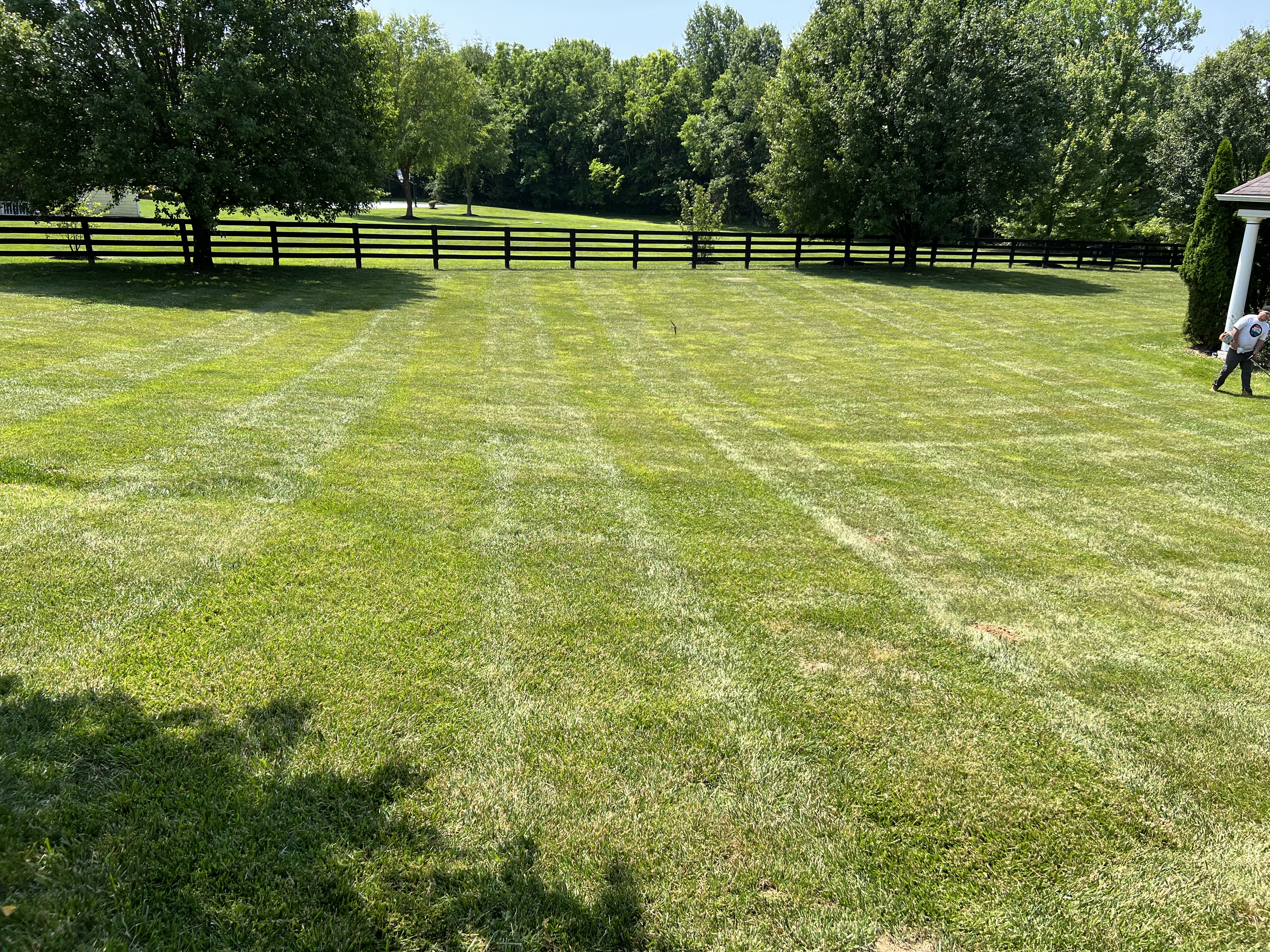 Large, fenced in pasture that has been freshly cut and maintained